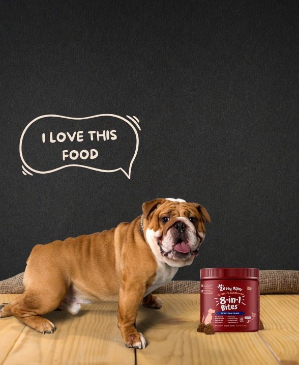 Happy Pets - Healthy Bites