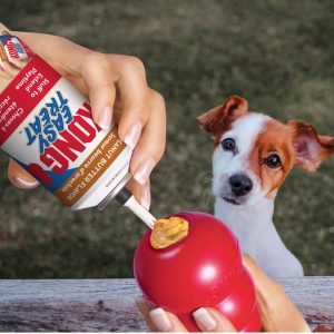 Kong Pet Peanut Butter Easy Treat