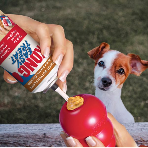 Kong Pet Peanut Butter Easy Treat - Image 2