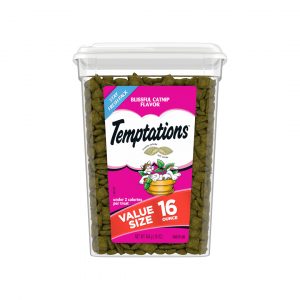 Blissful Catnip Temptations